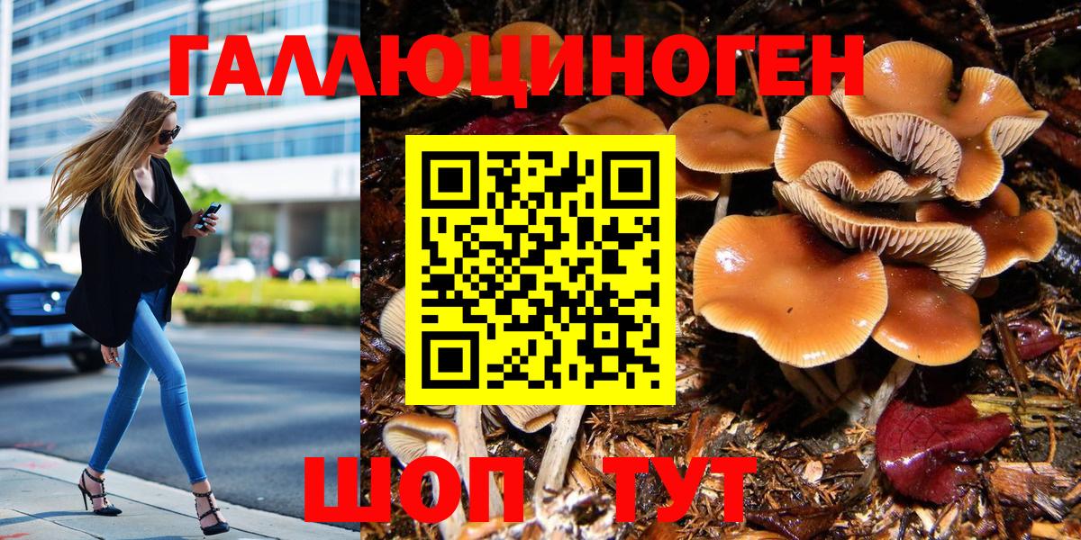 Галлюциногенные грибы Psilocybe  Вход с VPN  где продают   Рузаевка 